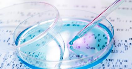 DNA, Laboratory, Stem Cell, Healthcare And Medicine, Petri Dish