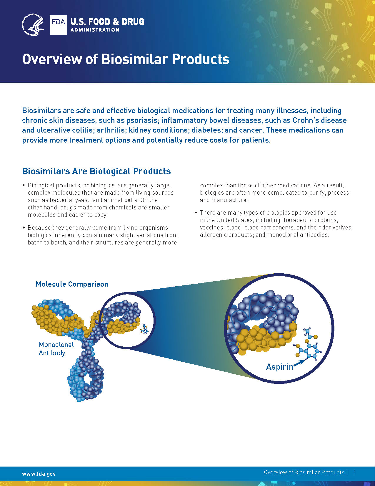 Biosimilars Overview HCP Fact Sheet