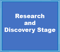 Research and Discovery Stage