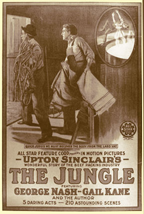 "The Jungle"