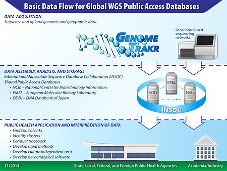 Basic Data Flow for Global WGS Public Access Databases
