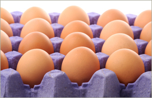 CFSAN Egg Safety Final Rule, eggs, e99s.jpg