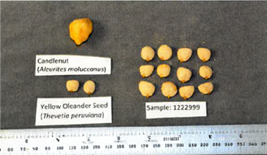 Nut Diet Max Brand Seed Comparison