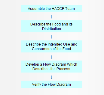 Preliminary Tasks in the Development of the HACCP Plan