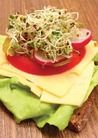 Produce Safety: Sprout Sandwhich