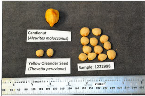 Todorganic Brand Seed Comparison