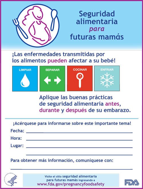 Volante para Herramientas del educador de Seguridad alimentaria para futuras mamás