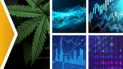 Cannabis Derived Products Data Acceleration Plan cover art - collage of photos: marijuana leaf and four abstract data graphs