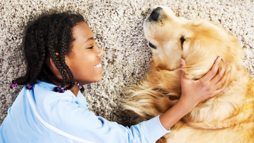 Young girl laying on tan carpet with Golden retriever.