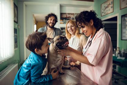Veterinarian examines dog while family watches.