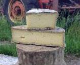 "Hamden is wild Ouleout&rdquo; by taking a few wheels from the Ouleout batch and letting the rind develop naturally, it slowly developed into its own cheese. The diversity of moulds and yeasts on the rind adds an earthy crunch to the sensory experience."