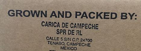 Box label: Papayas Grown and Packed by Carica de Campeche