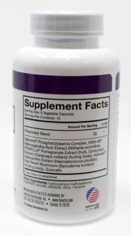 Product Image back, Supplement Facts Xenesta Nuvive Women’s 90 count bottle