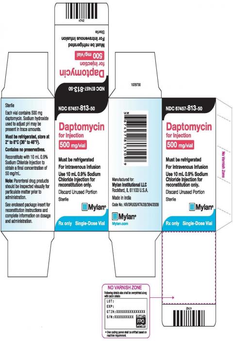 Photo 1 – Labeling, Daptomycin for Injection 500 mg/vial