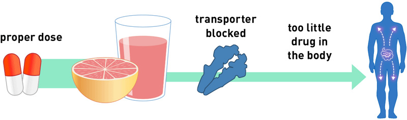 Grapefruit Juice Drug Under-dose Info-graphic (800x237)