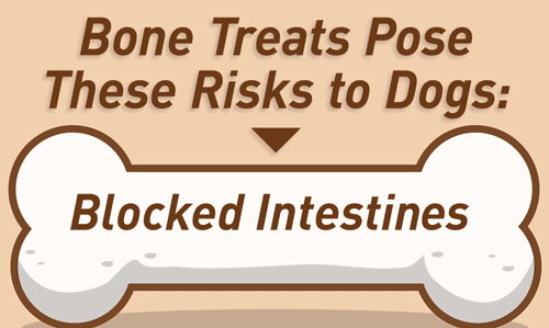 Bone Treats Pose Risks for Dogs (GIF 500x299)
