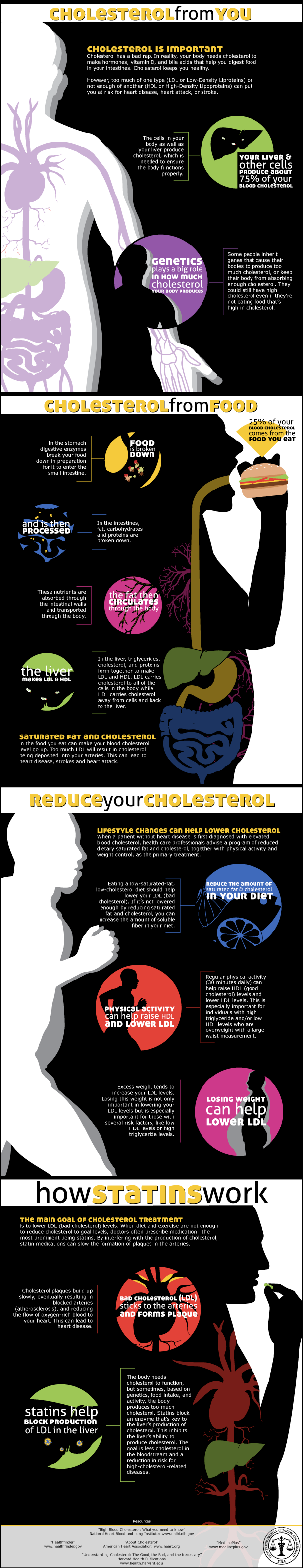 Cholesterol from You. Cholesterol has a bad rap. In reality, your body needs cholesterol to make hormones, vitamin D, and bile acids that help you digest food in your intestines. Cholesterol keeps you healthy. However, too much of one type (LDL or Low-Density Liproteins) or not enough of another (HDL or High-Density Lipoproteins) can put you at risk for heart disease, heart attack, or stroke. The cells in your body as well as your liver produce cholesterol, which is needed to ensure the body functions properly. Your liver & other cells produce about 75% of your blood cholesterol.
  Genetics plays a big role in how much cholesterol your body produces. Some people inherit genes that cause their bodies to produce too much cholesterol, or keep their body from absorbing enough cholesterol. They could still have high cholesterol even if they’re not eating food that’s high in cholesterol. Cholesterol from food. 25% of your blood cholesterol comes from the food you eat. In the stomach digestive enzymes break your food down in preparation for it to enter the small intestine. In the intestines, fat, carbohydrates and proteins are broken down. These nutrients are absorbed through the intestinal walls and transported through the body. In the liver, triglycerides, cholesterol, and proteins form together to make LDL and HDL. LDL carries cholesterol to all of the cells in the body while HDL carries cholesterol away from cells and back to the liver. Saturated fat and cholesterol in the food you eat can make your blood cholesterol level go up. Too much LDL will result in cholesterol being deposited into your arteries. This can lead to heart disease, strokes and heart attack. Reduce your cholesterol. Lifestyle changes can help lower cholesterol  When a patient without heart disease is first diagnosed with elevated blood cholesterol, health care professionals advise a program of reduced dietary saturated fat and cholesterol, together with physical activity and weight control, as the primary treatment. Eating a low-saturated-fat, low-cholesterol diet should help lower your LDL (bad cholesterol). If it’s not lowered enough by reducing saturated fat and cholesterol, you can increase the amount of soluble fiber in your diet. Regular physical activity (30 minutes daily) can help raise HDL (good cholesterol) levels and lower LDL levels. This is especially important for individuals with high triglyceride and/or low HDL levels who are overweight with a large waist measurement. Excess weight tends to increase your LDL levels. Losing this weight is not only important in lowering your LDL levels but is especially important for those with several risk factors, like low HDL levels or high triglyceride levels. How statins work. The main goal of cholesterol treatment is to lower LDL (bad cholesterol) levels. When diet and exercise are not enough to reduce cholesterol to goal levels, doctors often prescribe medication—the most prominent being statins. By interfering with the production of cholesterol, statin medications can slow the formation of plaques in the arteries. Cholesterol plaques build up slowly, eventually resulting in blocked arteries (atherosclerosis), and reducing the flow of oxygen-rich blood to your heart. This can lead to heart disease. The body needs cholesterol to function, but sometimes, based on genetics, food intake, and activity, the body produces too much cholesterol. Statins block an enzyme that’s key to the liver’s production of cholesterol. This inhibits the liver’s ability to produce cholesterol. The goal is less cholesterol in the bloodstream and a reduction in risk for high-cholesterol-related diseases. Resources: Healthfinder, National Heart Blood and Lung Institute: www.nhlbi.nih.gov, American Heart Association, www.heart.org, Medline Plus, Understanding Cholesterol: The Good, the Bad, and the Necessary, Harvard Health Publications.