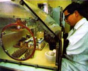 Man in a white lab coat standing in front of a glass enclosure with his hands inside the enclosure
