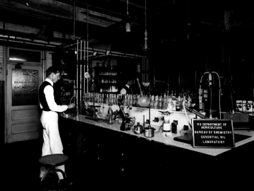 Man working at a laboratory bench in the essential oils laboratory