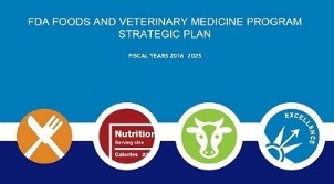FVM Strategic Plan