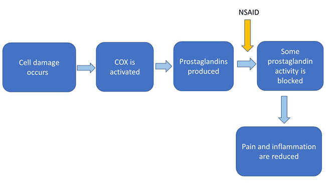 Schematic showing that other NSAIDs work by blocking some activity of certain prostaglandins: Cell damage occurs - COX is activated - Prostaglandins are produced - NSAID blocks some prostaglandin activity - Pain and inflammation are reduced