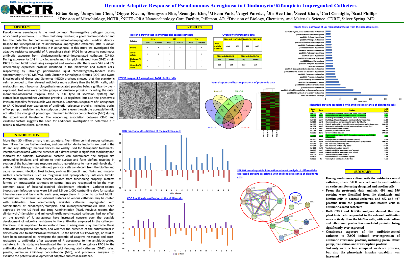 Preview image of the scientific poster. For more information, please refer to the abstract or download the PDF version of the poster. 