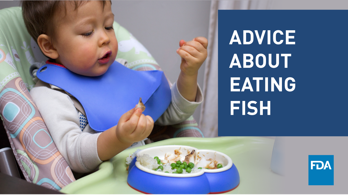 Advice About Eating Fish (child eating fish in a highchair) 