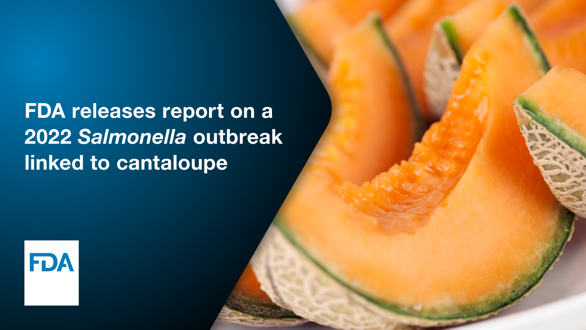  Salmonella Outbreak in Cantaloupe During Summer of 2022 
