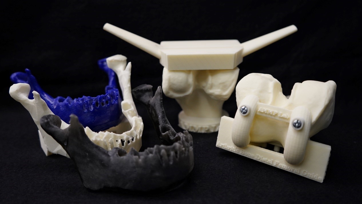 3D printed mandibles and vertebrae