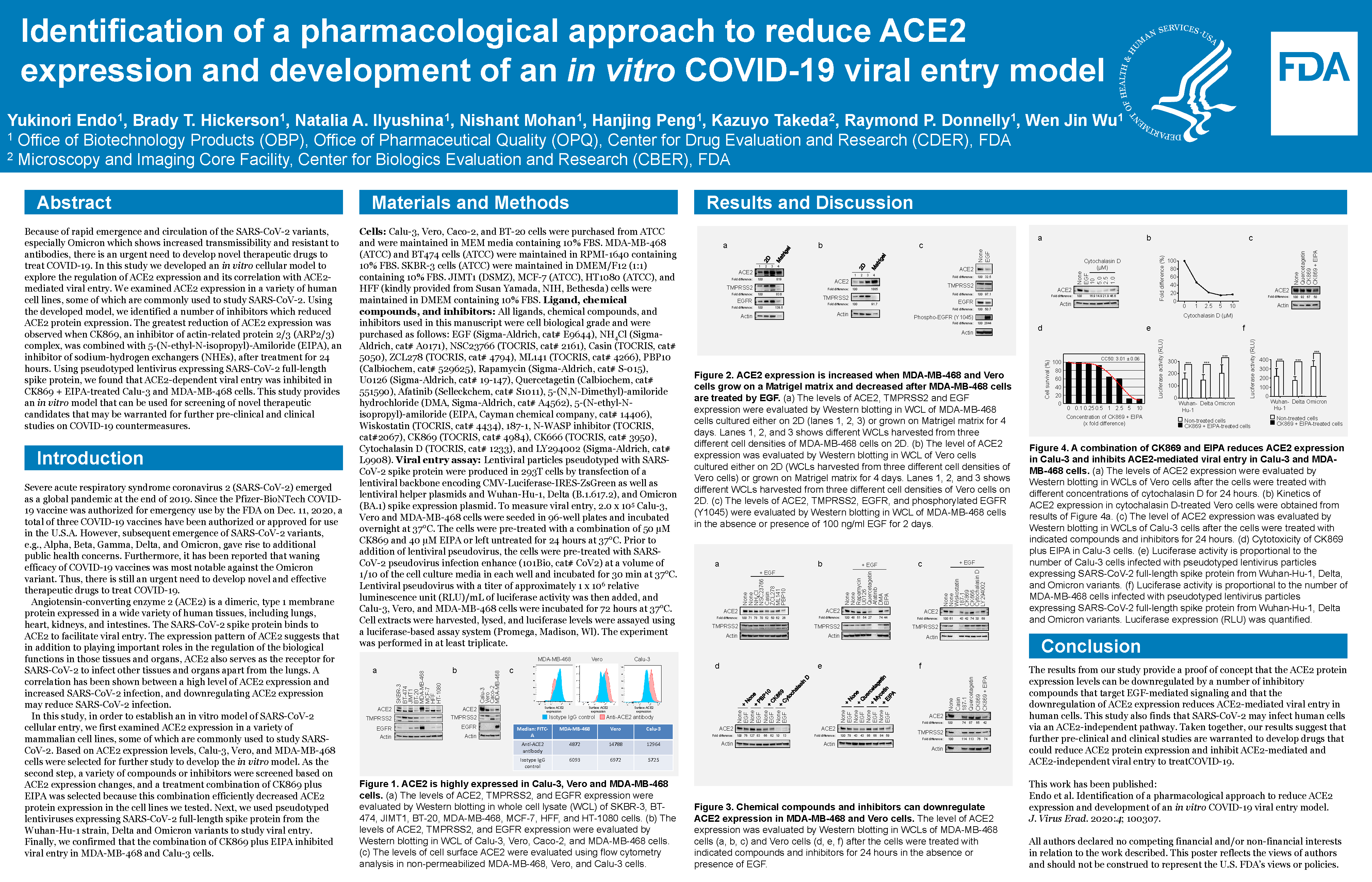 Identification of a pharmacological approach to reduce ACE2 expression and development of an in vitro COVID-19 viral entry model 