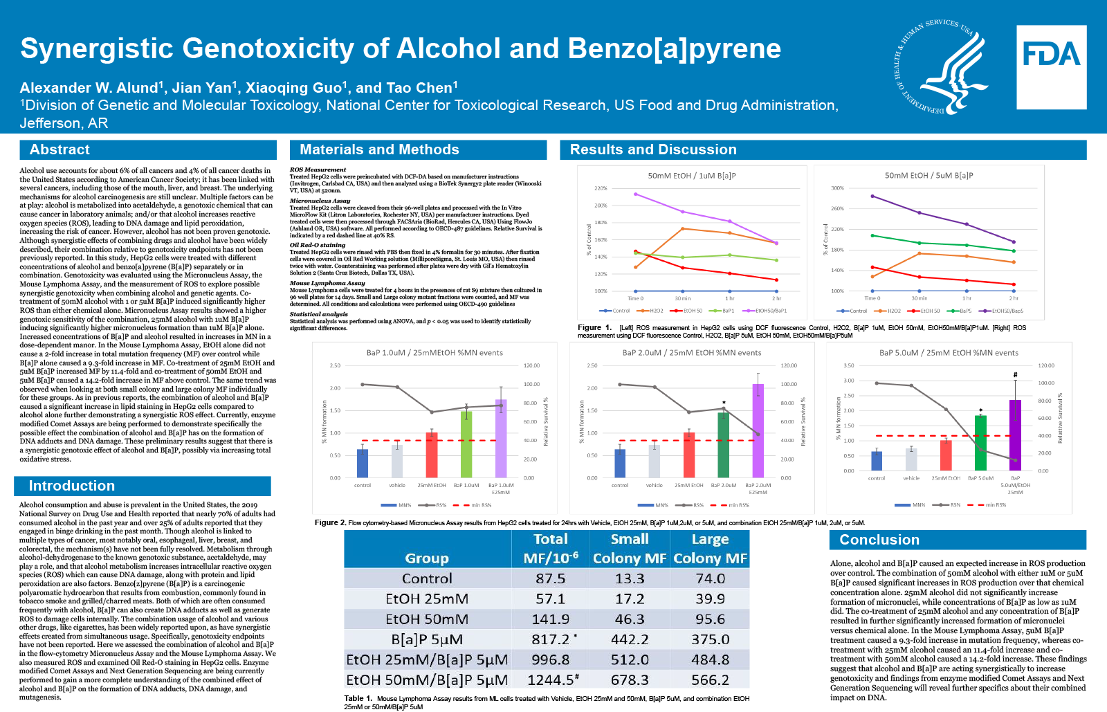Preview image of the scientific poster. For more information, please refer to the abstract or download the PDF version of the poster. 