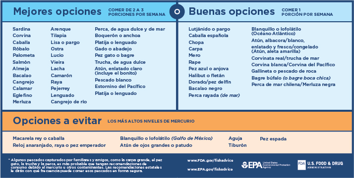 Seafood Mercury Levels Chart