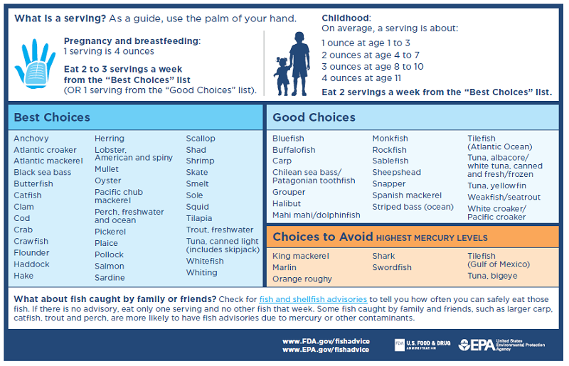 Can You Eat Shellfish While Breastfeeding?