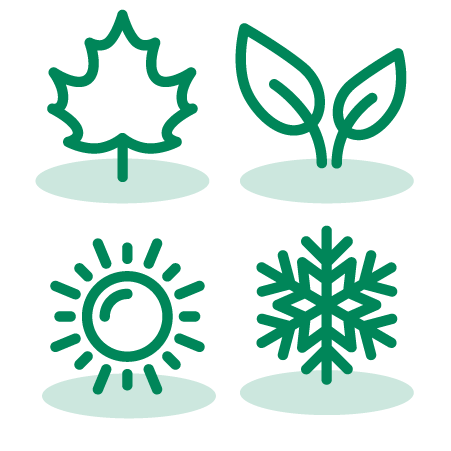 Four seasons graphic icon
