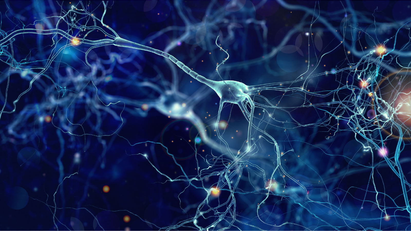 Decorative image of neurons on a dark blue background