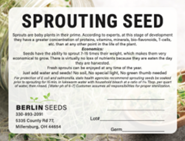 Berlin Seeds Sprouting Seeds