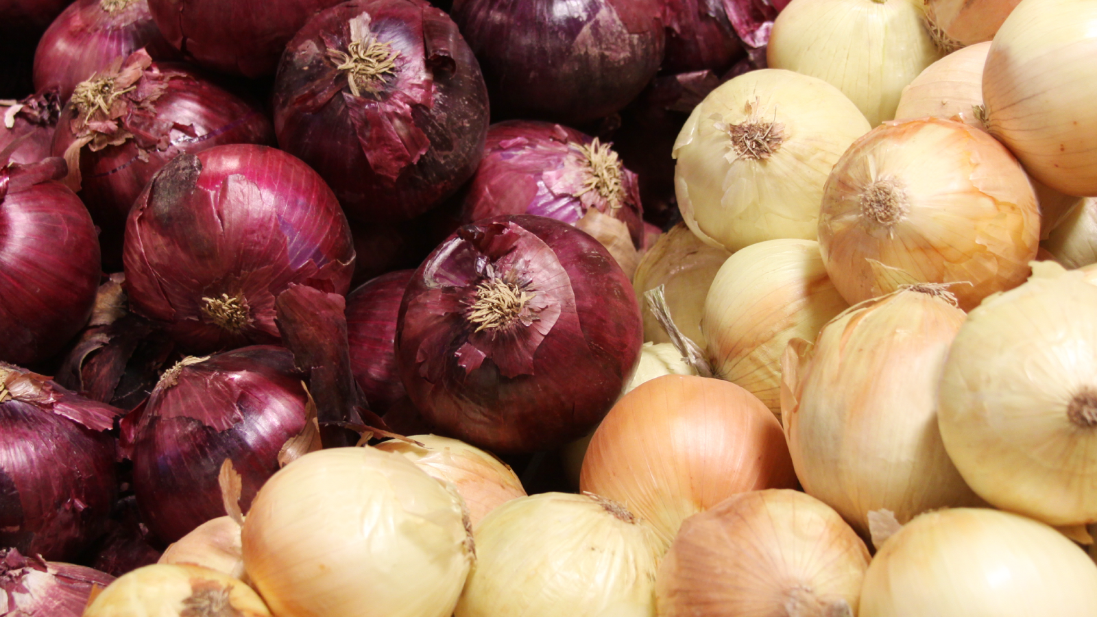 Groups of mixed onions 