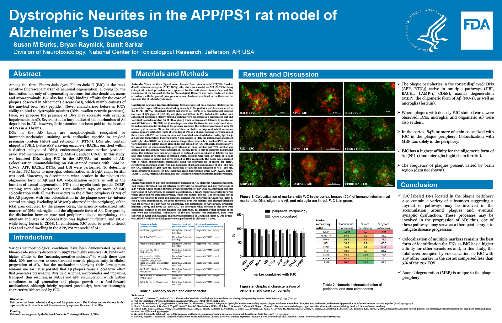 Preview image of the scientific poster. For more information, please refer to the abstract or download the PDF version of the poster.