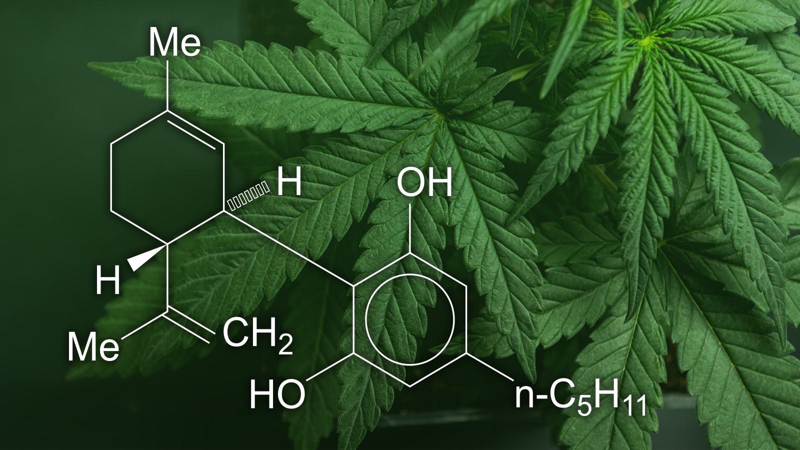 What You Need to Know (And What We’re Working to Find Out) About Products Containing Cannabis or Cannabis-derived Compounds, Including CBD