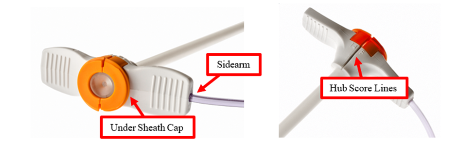 Catheter Introducer