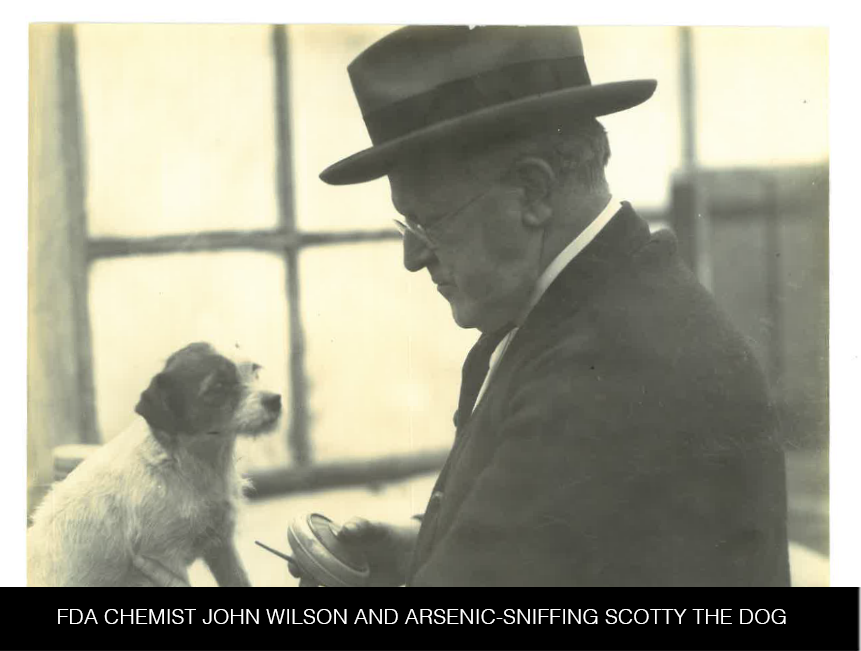 Vintage image of Chemist John Wilson and Scotty the dog - from Frank R