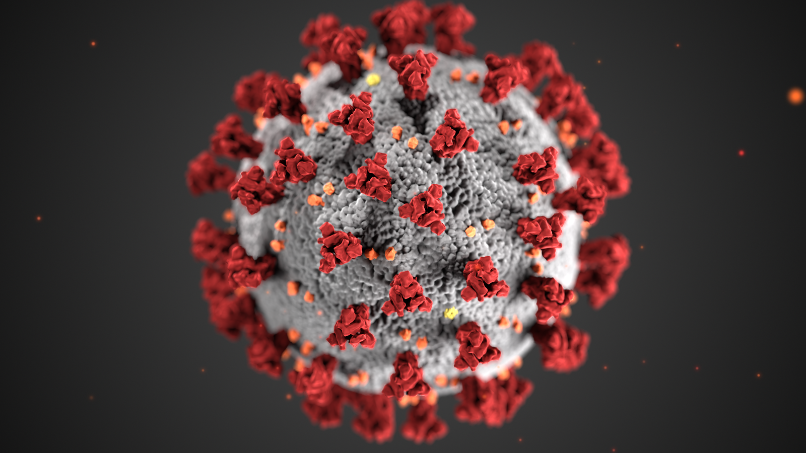 Coronavirus_3D_illustration_by_CDC_1600x900.png