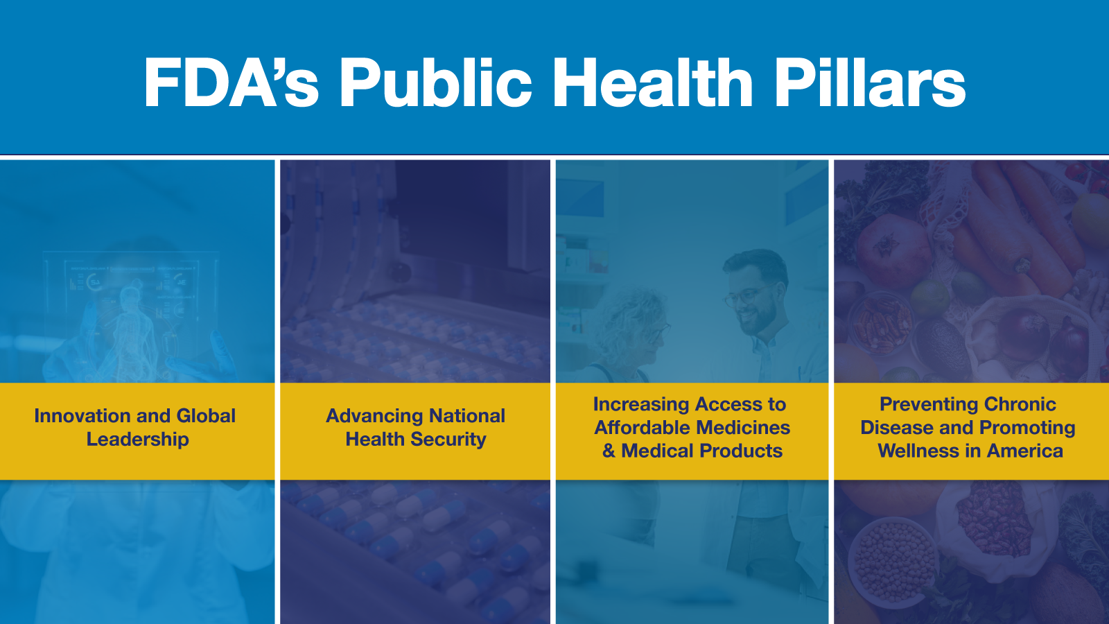 FDA Four Pillars Infographic