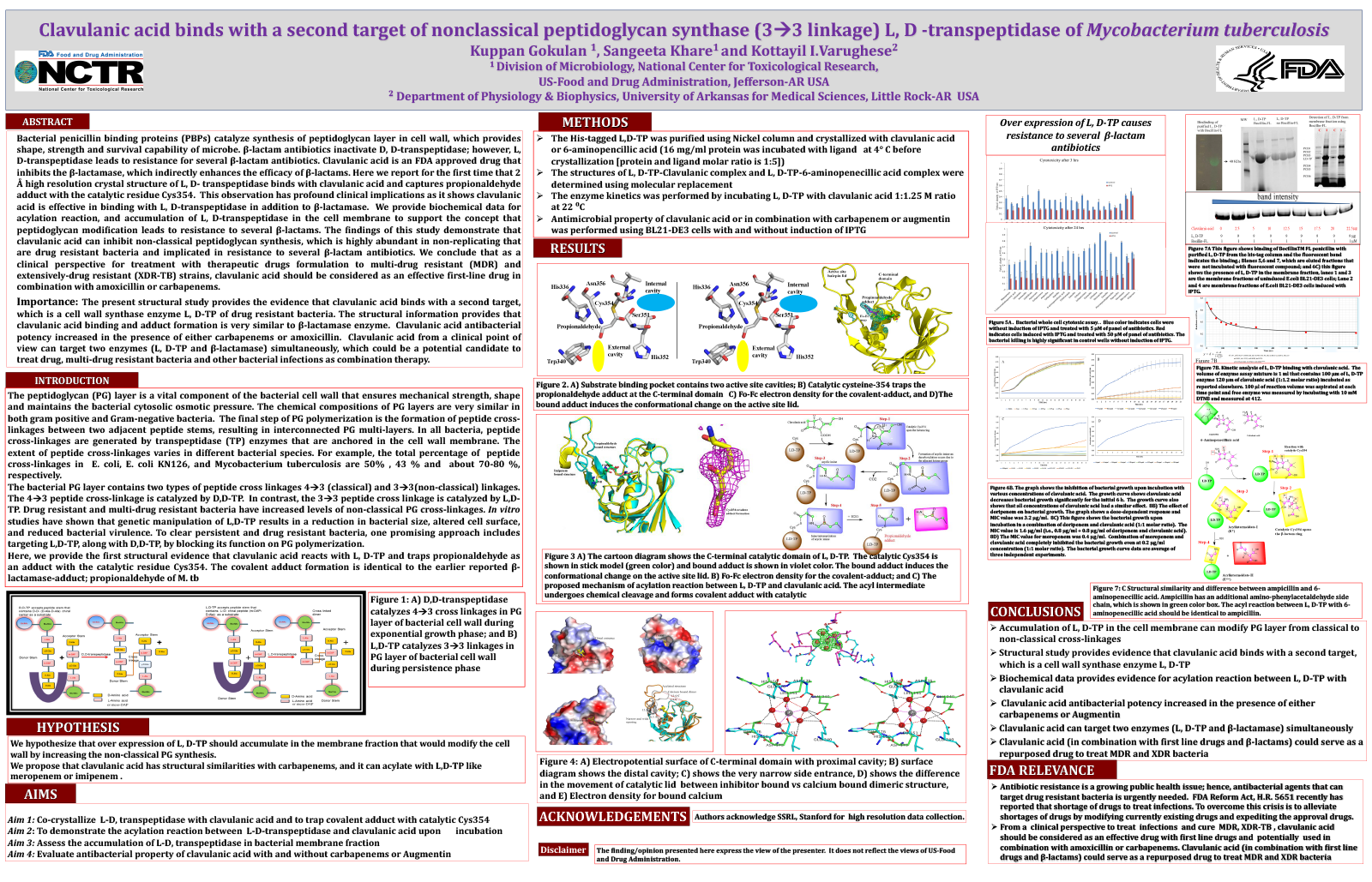 Poster: Clavulanic Acid Binds with a Second Target of Nonclassical Peptidoglycan Synthase (33 linkage) L, D -Transpeptidase of Mycobacterium Tuberculosis