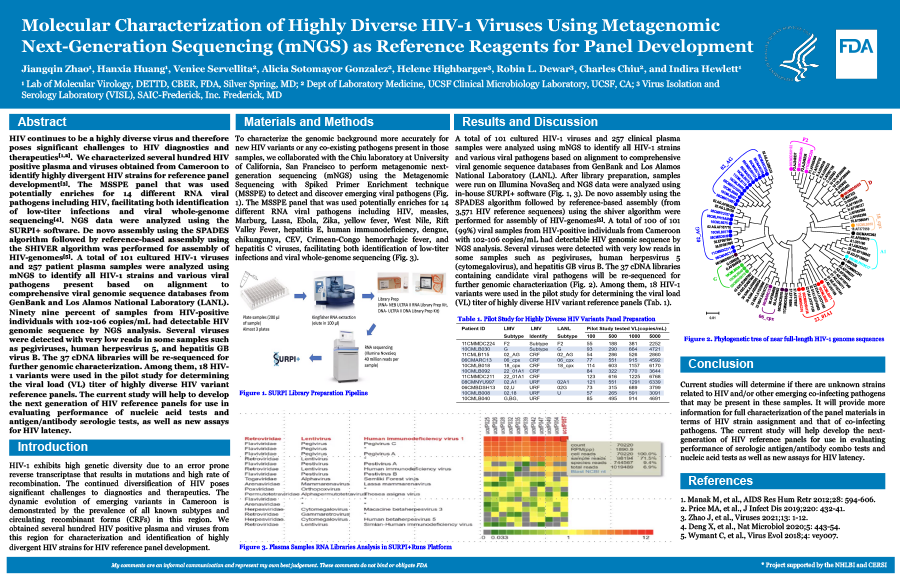 Molecular Characterization of Highly Diverse HIV-1 Viruses Using Metagenomic Next-Generation Sequencing (mNGS) as Reference Reagents for Panel Development
