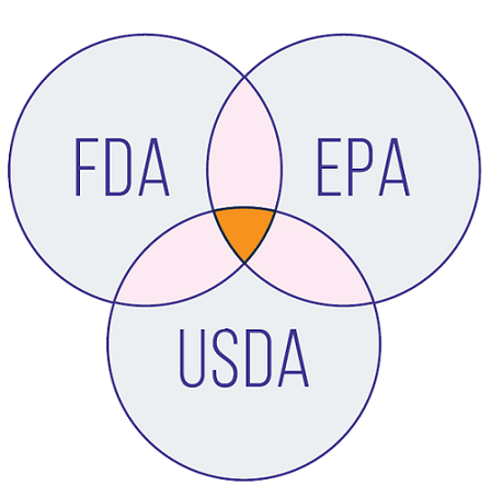 FDA, USDA și EPA lucrează împreună pentru a reglementa majoritatea OMG-urilor