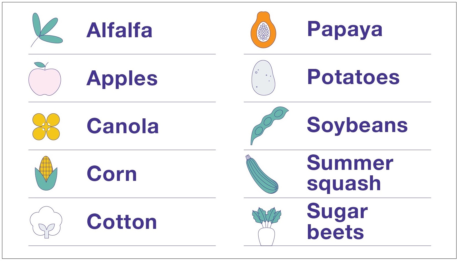 Feed Your Mind Toolkit GMO Crops Image