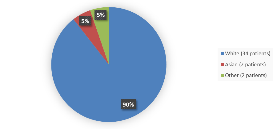 Pie chart summarizing how many White, Asian, and other patients were in the clinical trial. In total, 34 (90%) White patients, 2 (5%) Asian patients, and 2 (5%) Other patients participated in the clinical trial.