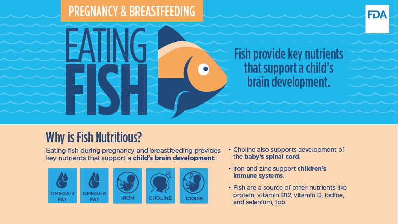 Slides on Eating Fish for Pregnancy and Breastfeeding Image