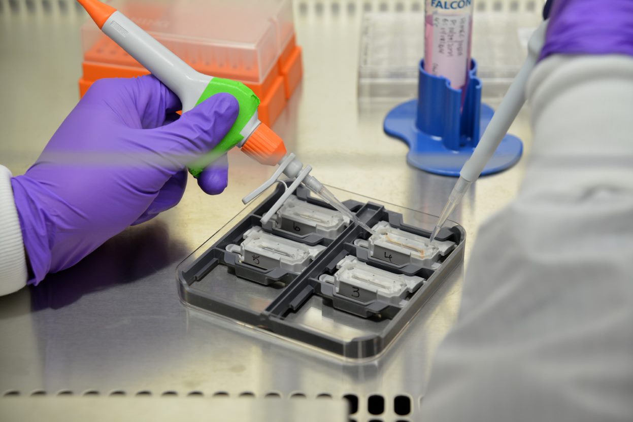 La foto muestra a un científico trabajando en un laboratorio con la tecnología Órgano en Chip.